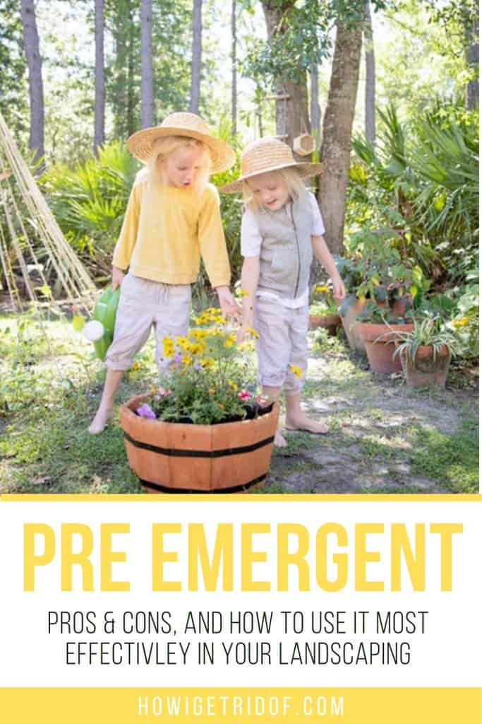 Pre Emergent Pros, Cons, and How To Use It Most Effectively In Your