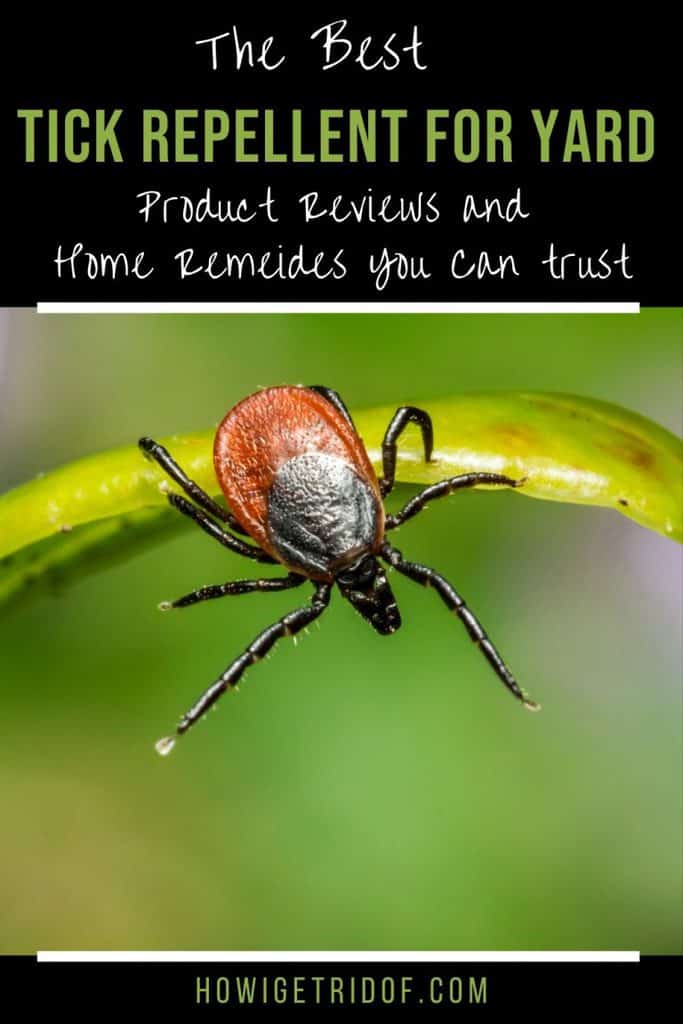 The Best Tick Repellent For Yard How I Get Rid Of