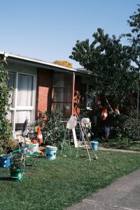 How To Get Rid Of Rats In Yard - How I Get Rid Of