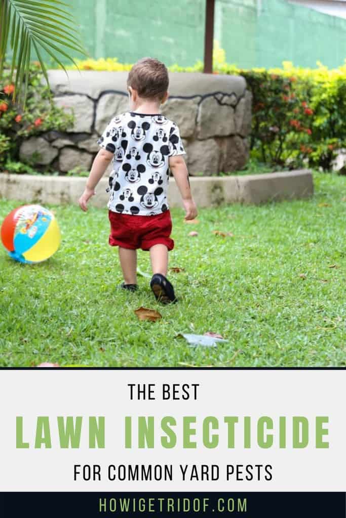Best Lawn Insecticide for Common Yard Pests How I Get Rid Of