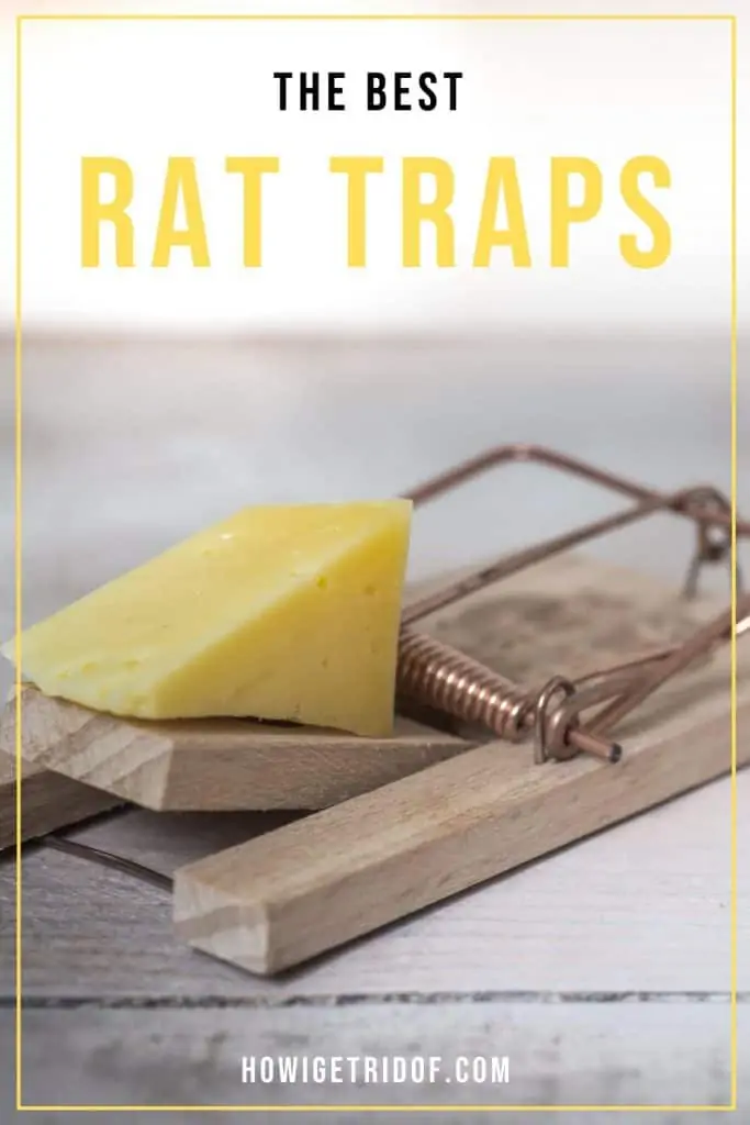 Best Rat Traps 2