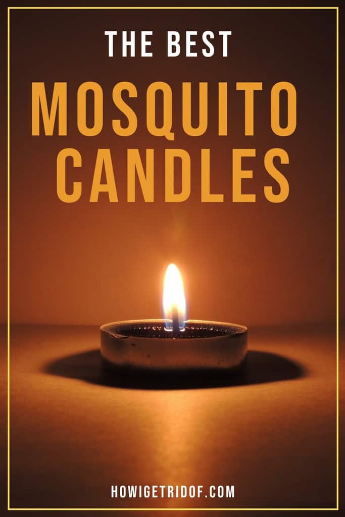 The Best Mosquito Candles How I Get Rid Of