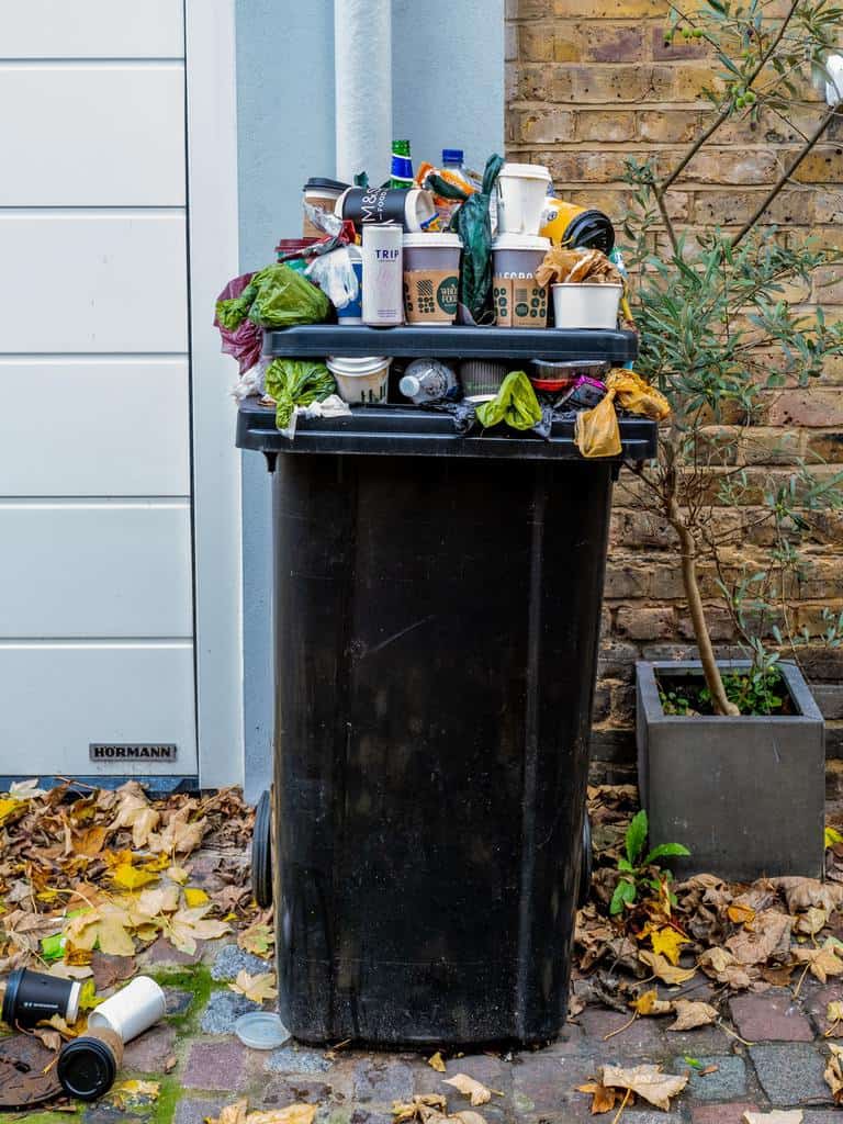 How To Kill Maggots In Trash Can Managing A Maggot Infestation How