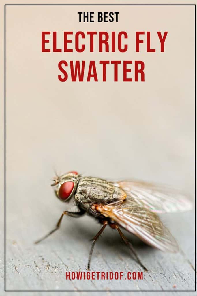 Best Electric Fly Swatter How I Get Rid Of