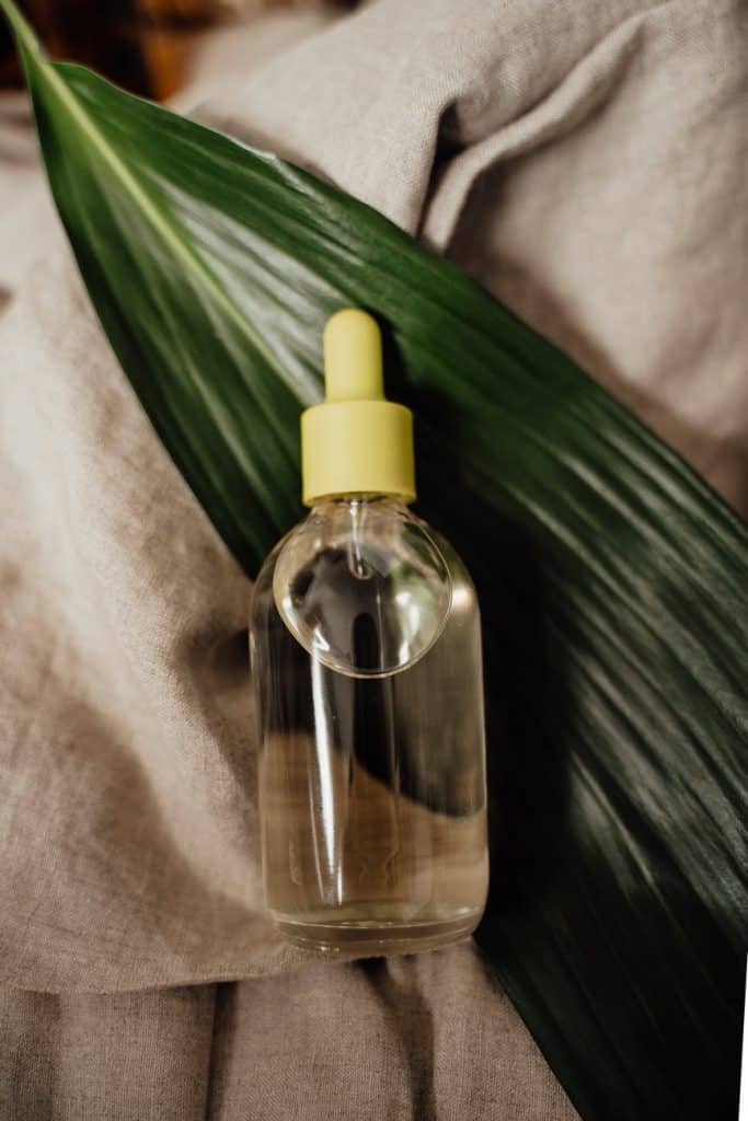 Best Electronic Spider Repellents How I Get Rid Of