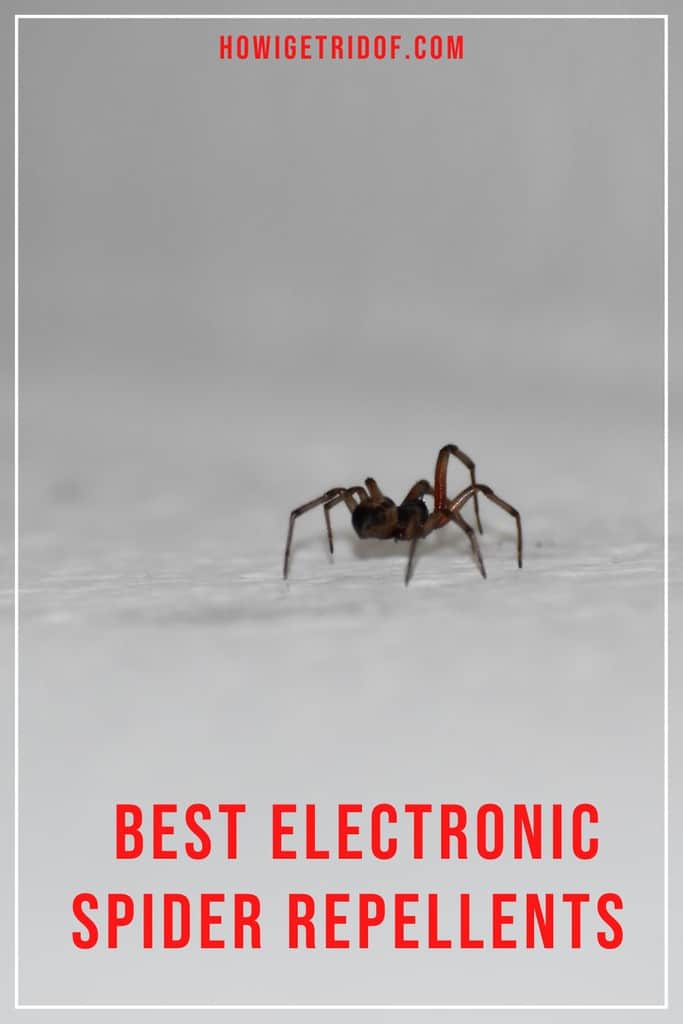 Best Electronic Spider Repellents How I Get Rid Of