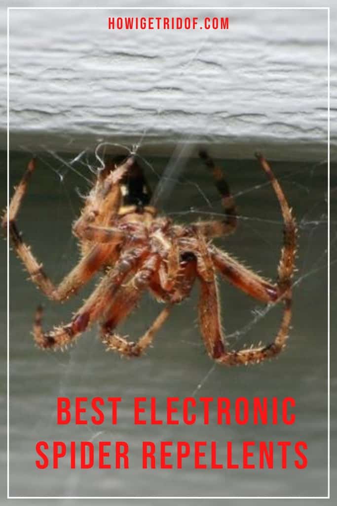 Best Electronic Spider Repellents How I Get Rid Of