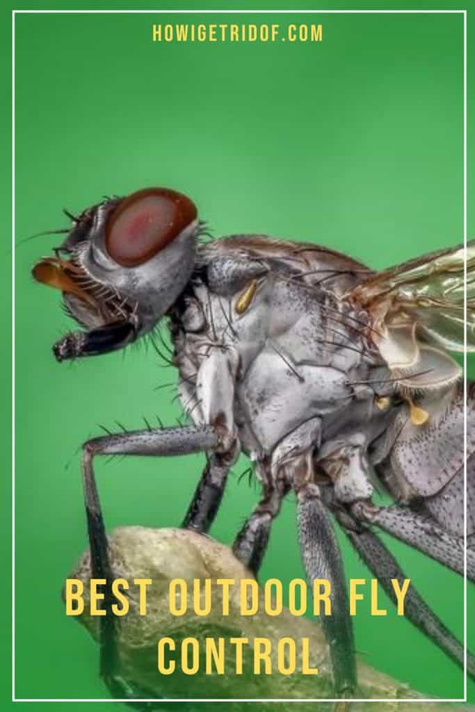 Best Outdoor Fly Control How I Get Rid Of