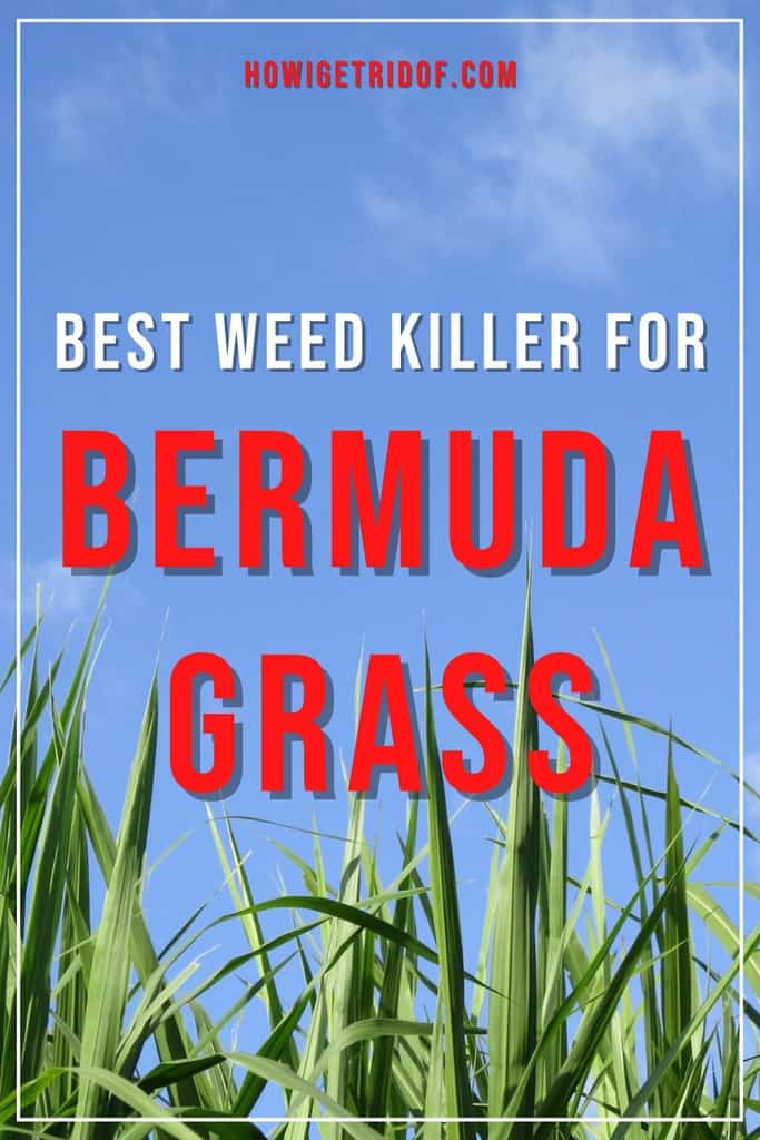 Best Weed Killer For Bermuda Grass How I Get Rid Of