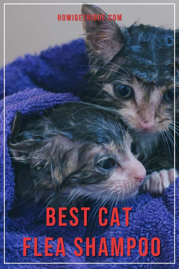 Cat Flea Shampoo For Effective Mite Control preview