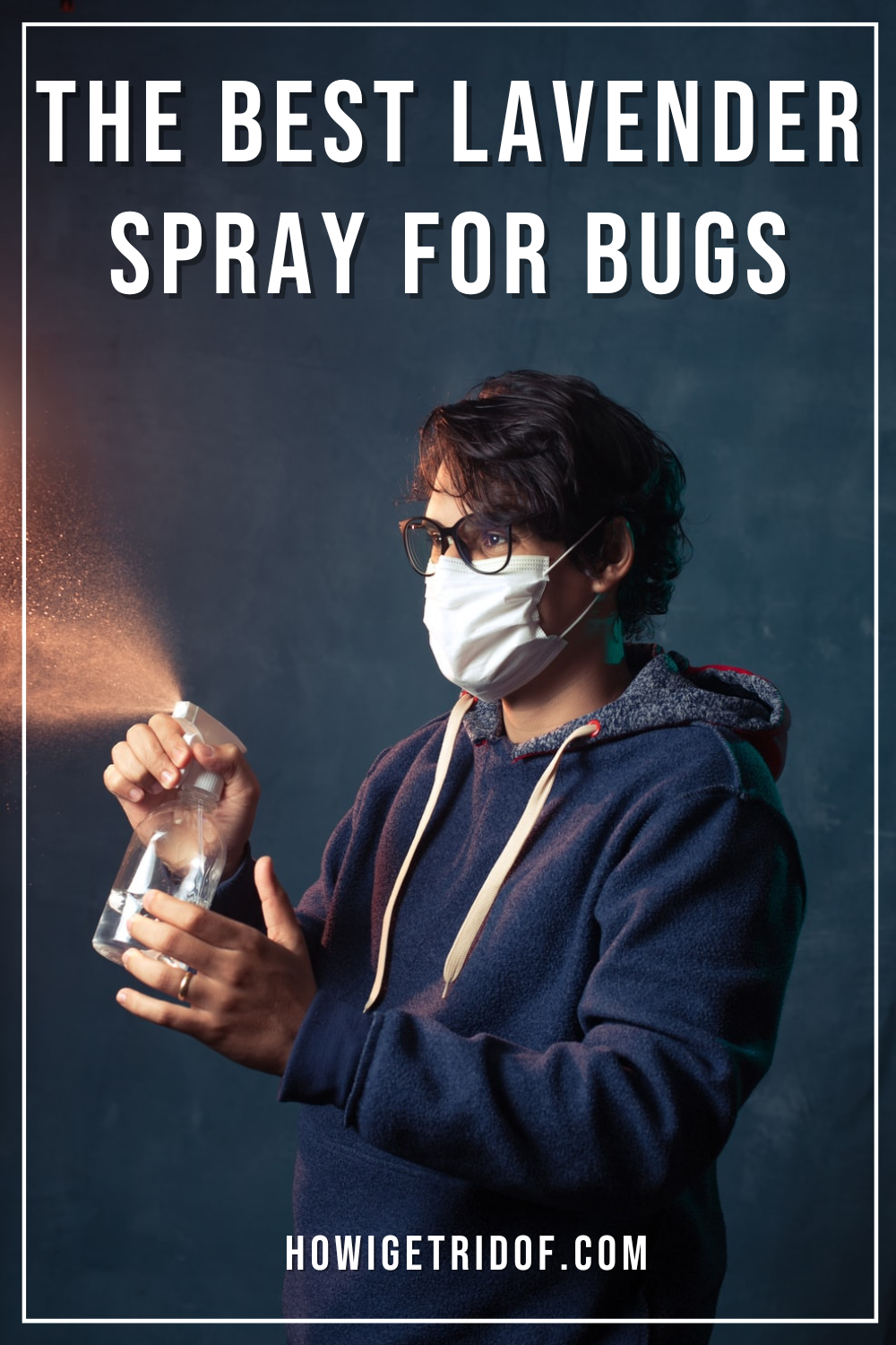 The Best Lavender Spray For Bugs How I Get Rid Of