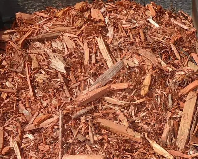 10 cedar mulch