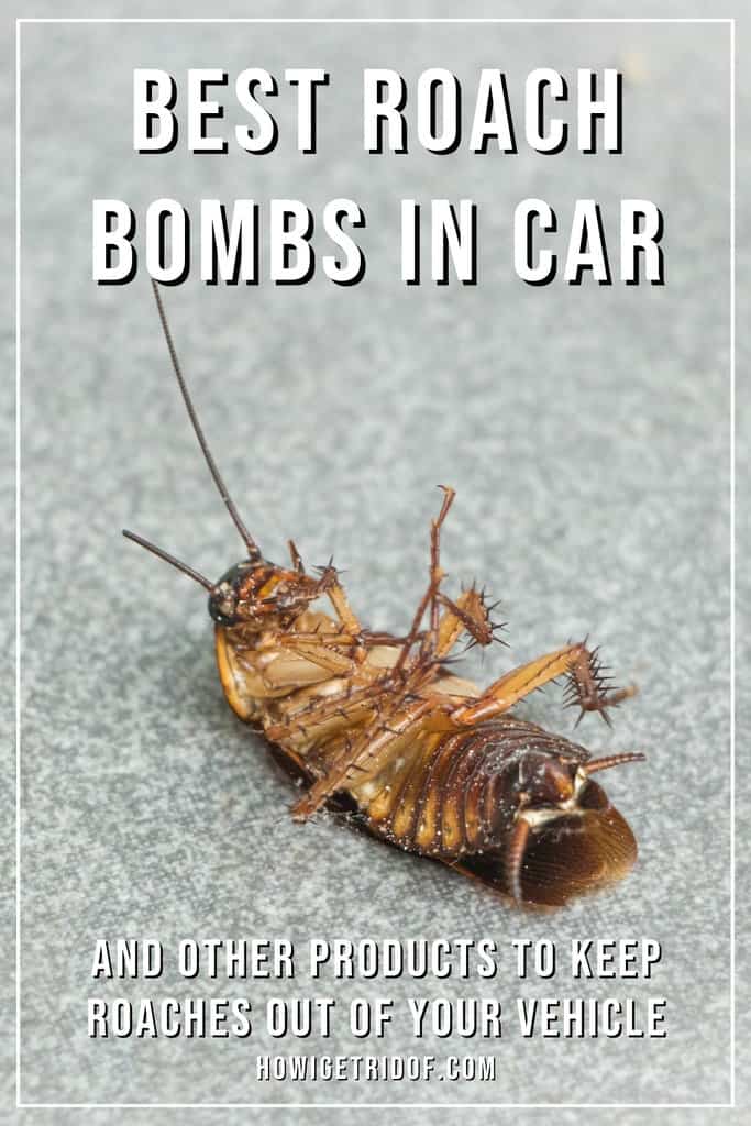 Best Roach Bomb For Car and Other Products To Keep Roaches Out of Your